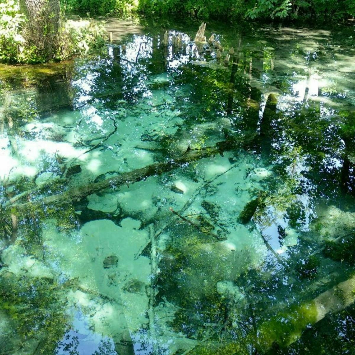 Okolice Krakowa-Dłubniański Park Krajobrazowy oraz 2 niezwykłe źródła